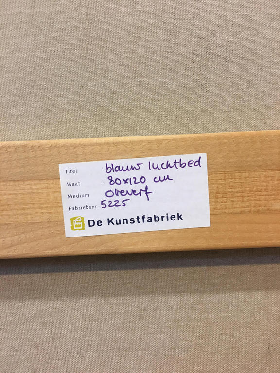 Blauw luchtbed kopen? Bied vanaf 500!