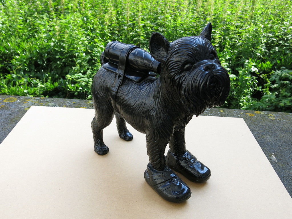 William Sweetlove: Hars, Cloned Griffon Bruxellois with pet bottle kopen? Bied vanaf 450!