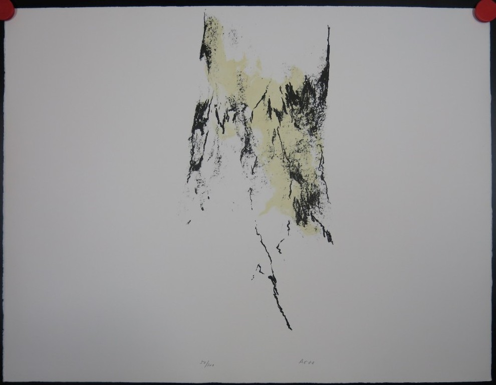 Armando: Litho, Z.T. kopen? Bied vanaf 150!