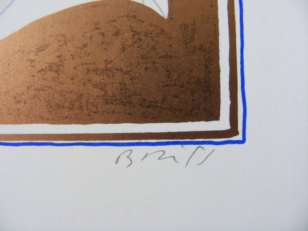 Sami Briss, lithografie, handgenummerd en gesigneerd! kopen? Bied vanaf 30!