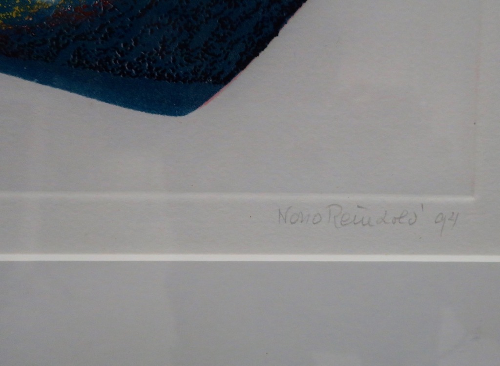 Nono Reinhold: Ets, Terra des fleuves - Ingelijst kopen? Bied vanaf 45!