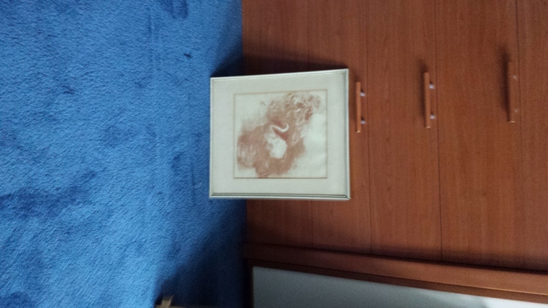 Litho, Zwaan kopen? Bied vanaf 25!