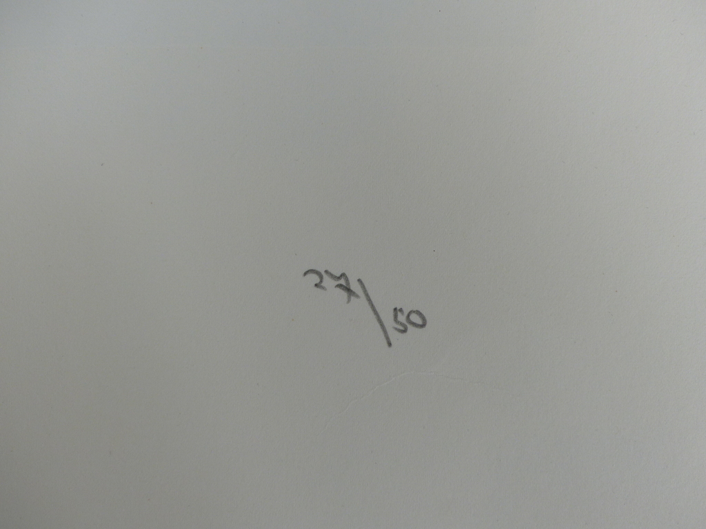 Gerard t hart ,Zeefdruk op papier, Handgesigneerd kopen? Bied vanaf 20!