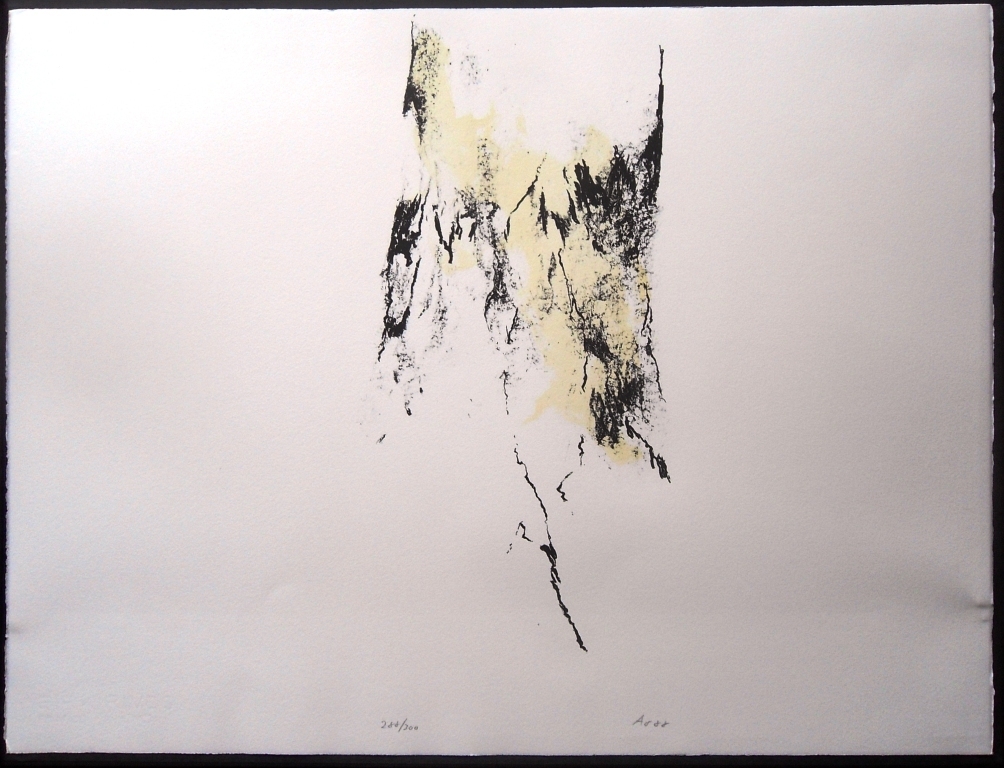 Armando ; compositie litho verkocht voor € 200!