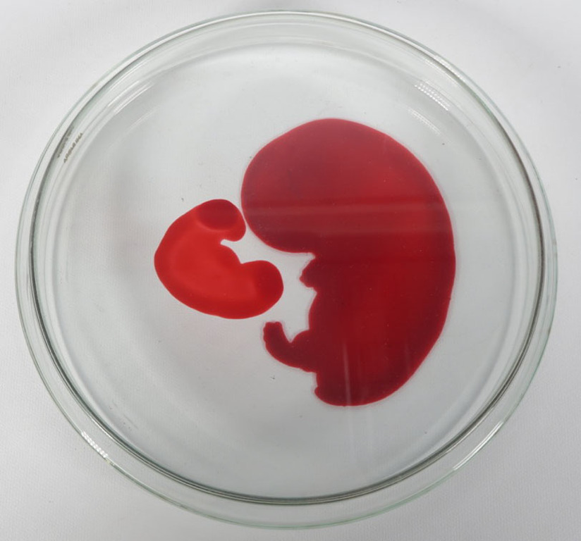 Lisette Verkerk: Beschilderd petrischaaltje, Origins kopen? Bied vanaf 35!