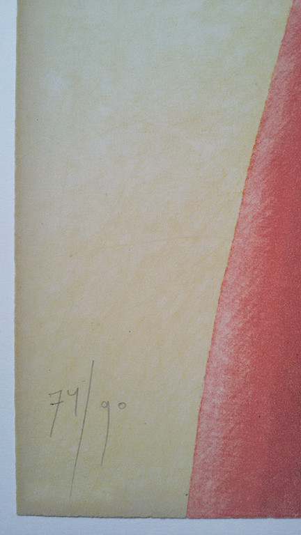 Siet Zuyderland - Chinees stilleven, litho kopen? Bied vanaf 75!