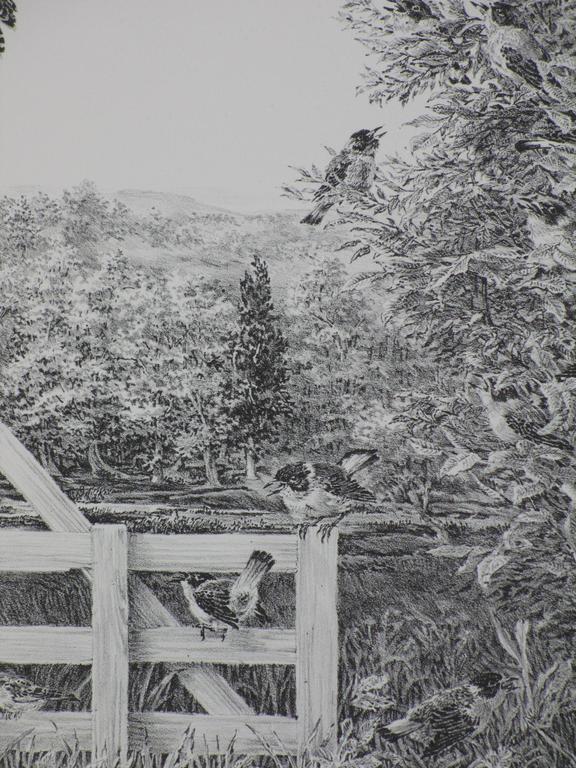 Peter Vos, Verte, Litho kopen? Bied vanaf 100!