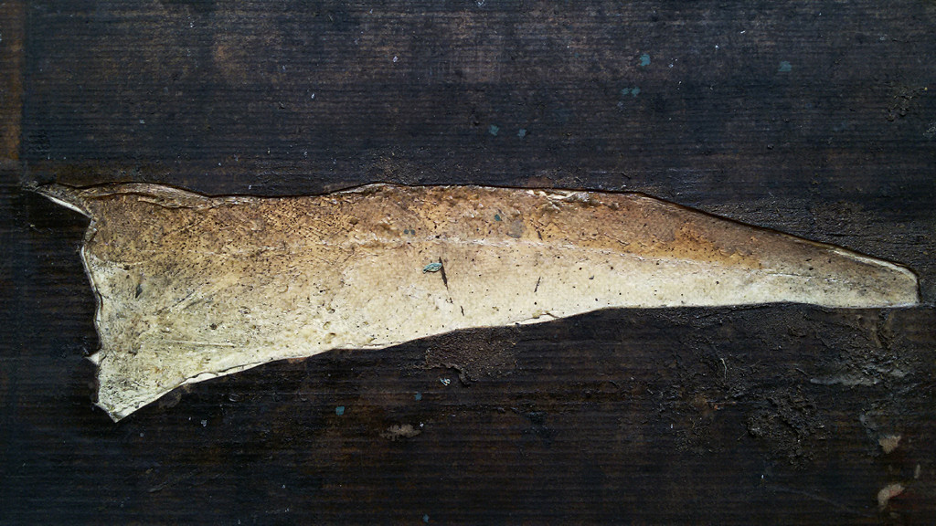 Daniël Tavenier - Huid & vis, gemengde techniek (ingelijst, groot) kopen? Bied vanaf 1!