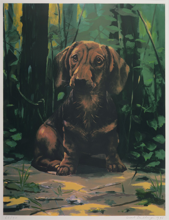 Siert Dallinga: Zeefdruk, Hond in het bos (Groot) kopen? Bied vanaf 35!