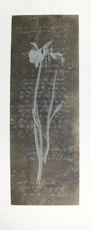 Guillermo Conte - kleurets op Guarro -handgesigneerd kopen? Bied vanaf 150!