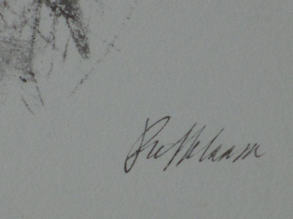 Piet Klaasse, Rambok, Litho kopen? Bied vanaf 1!