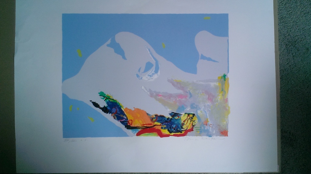 Ton van Kesteren, kleuren litho A.P , z.t.   kopen? Bied vanaf 35!