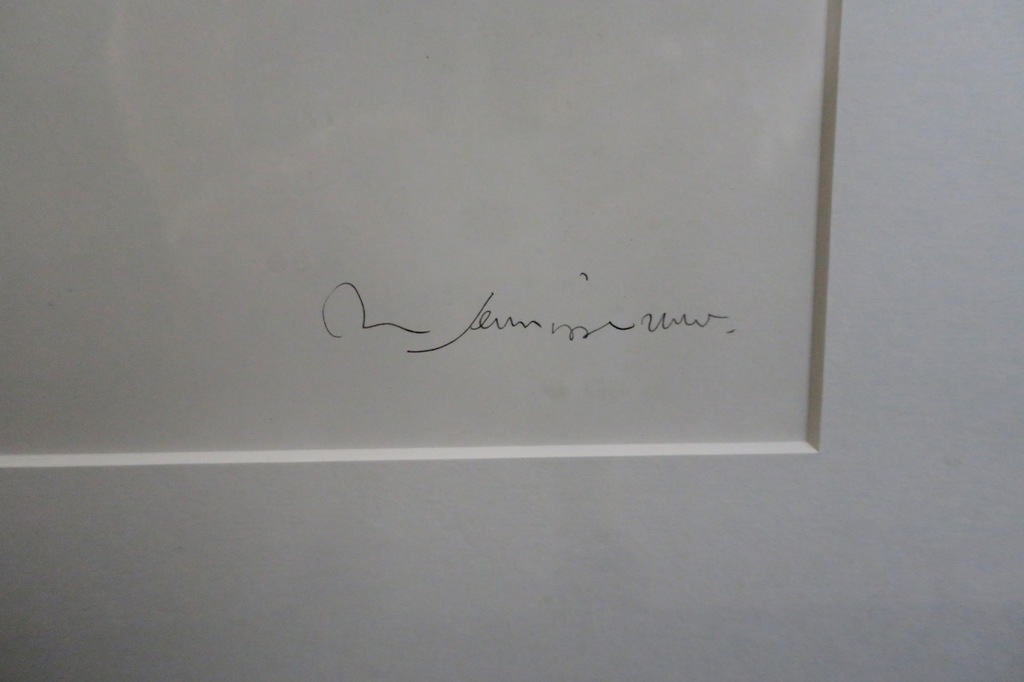 Ron Gennisse: Litho, Alien I - Ingelijst kopen? Bied vanaf 35!