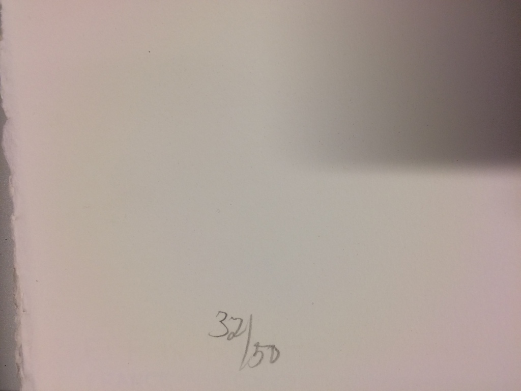 Ger Lataster - De dag van de vernieuwing, zeer grote litho 32/50 kopen? Bied vanaf 200!