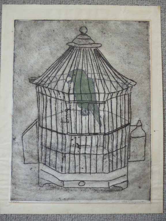 Frans Verpoorten - kleurenets - De groene ara verkocht voor € 55!