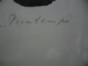 Anton Rooskens - vogels kopen? Bied vanaf 275!