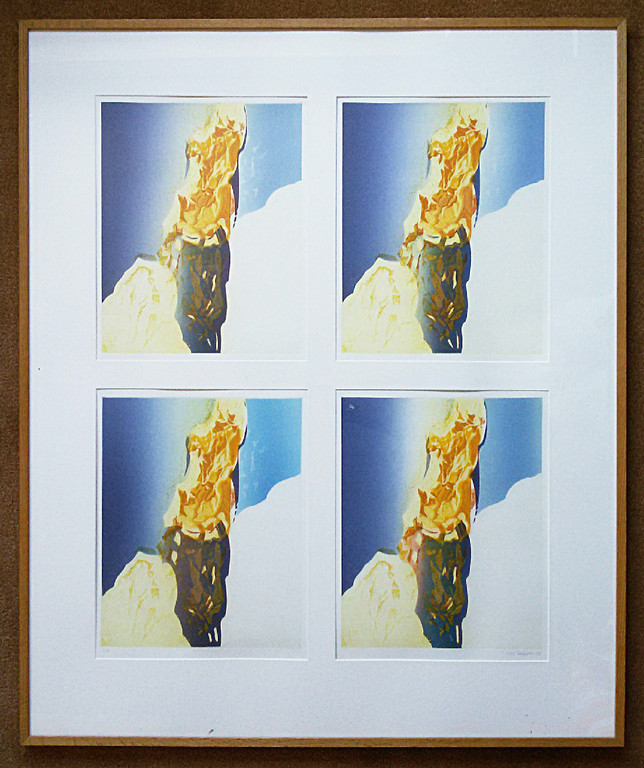 Nono Reinhold - Quadriptych, aquatint ets vierluik (ingelijst, zeer groot) kopen? Bied vanaf 95!