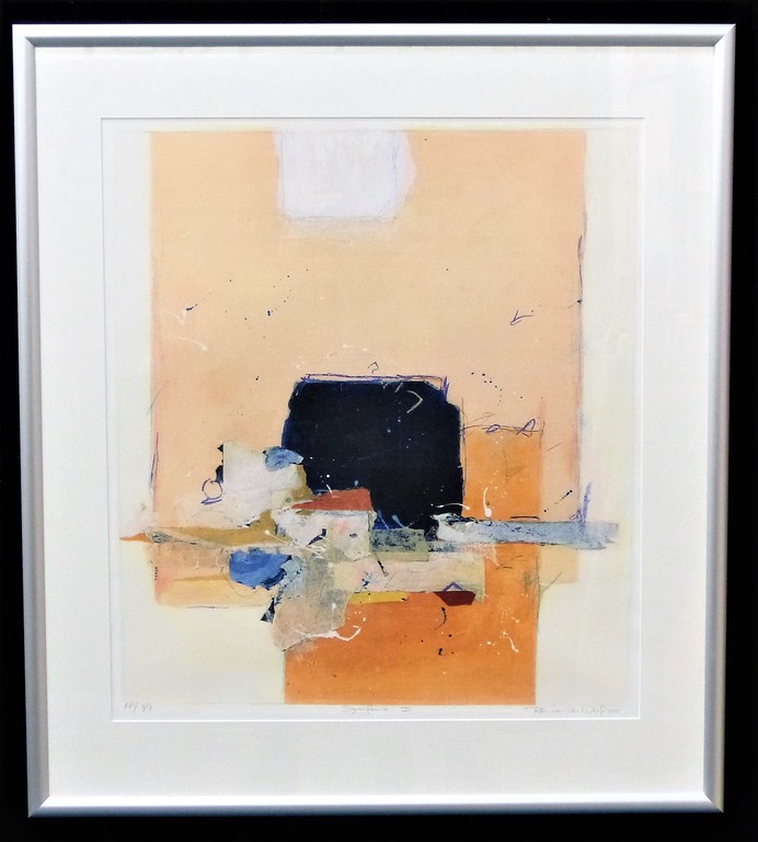 Ron v/d Werf,zeefdruk op papier met zwelinkt, Symfonie 2,HandgesigneerdOplage 3/ kopen? Bied vanaf 125!