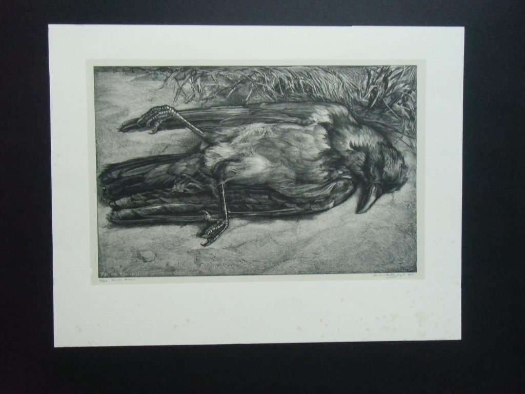 DOODE KRAAI /// LITHO/CHINE COLLÉ VAN AART VAN DOBBENBURGH verkocht voor € 45!