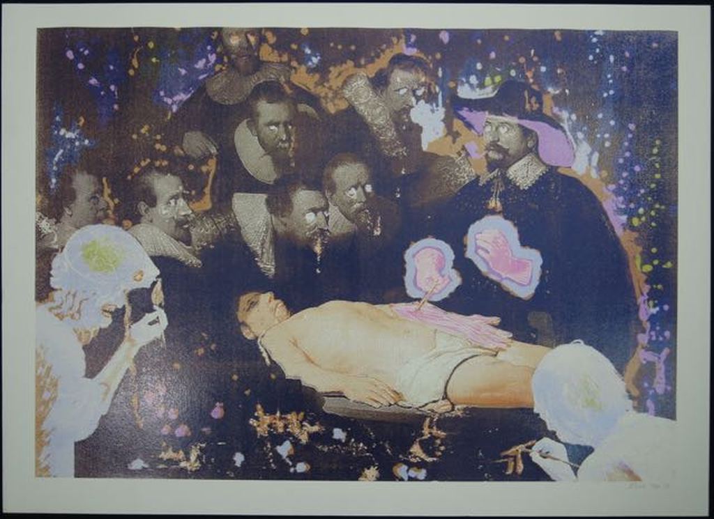 Rob Birza: Zeefdruk, De Anatomieles kopen? Bied vanaf 40!