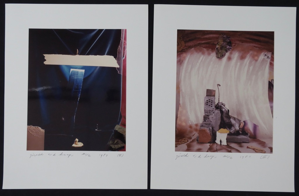Gerald van der Kaap: Portfolio met 6 Foto's, Wuyvy kopen? Bied vanaf 160!