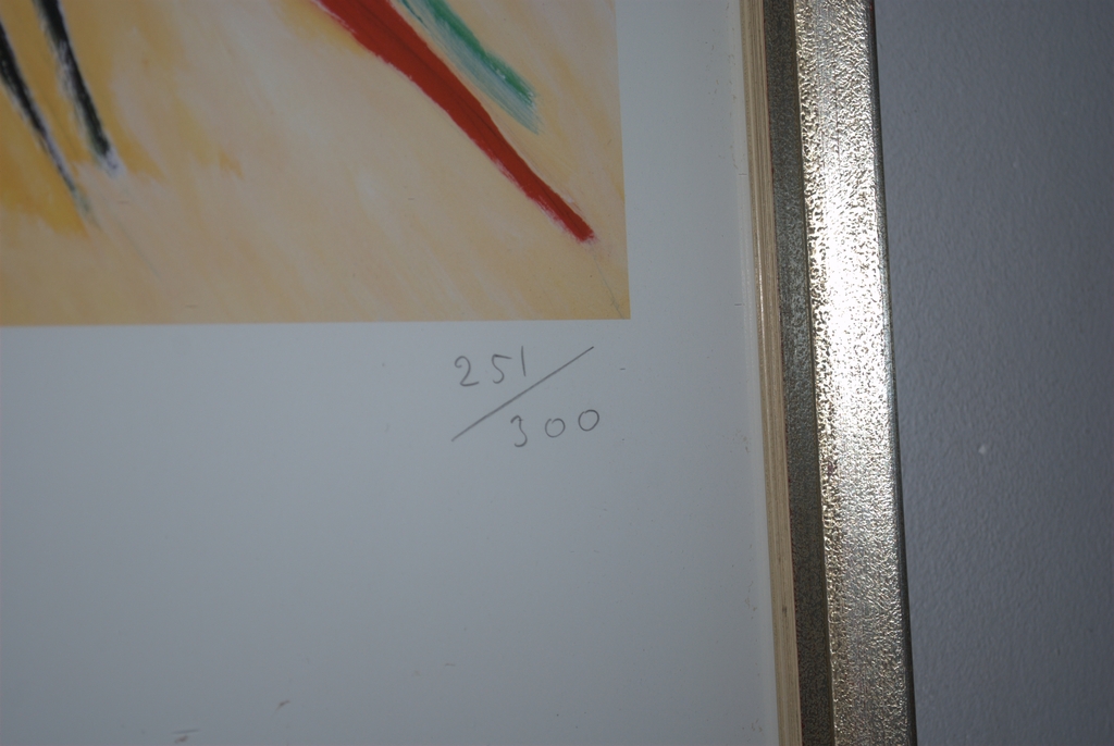zeefdruk gesigneerd oplage 300 kopen? Bied vanaf 1!
