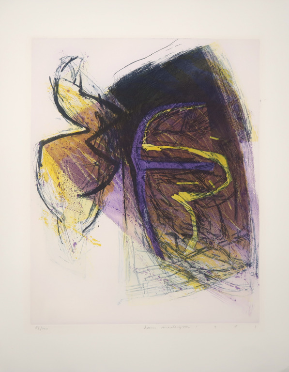 Hans Vredegoor: Ets en aquatint, Z.T.  kopen? Bied vanaf 1!