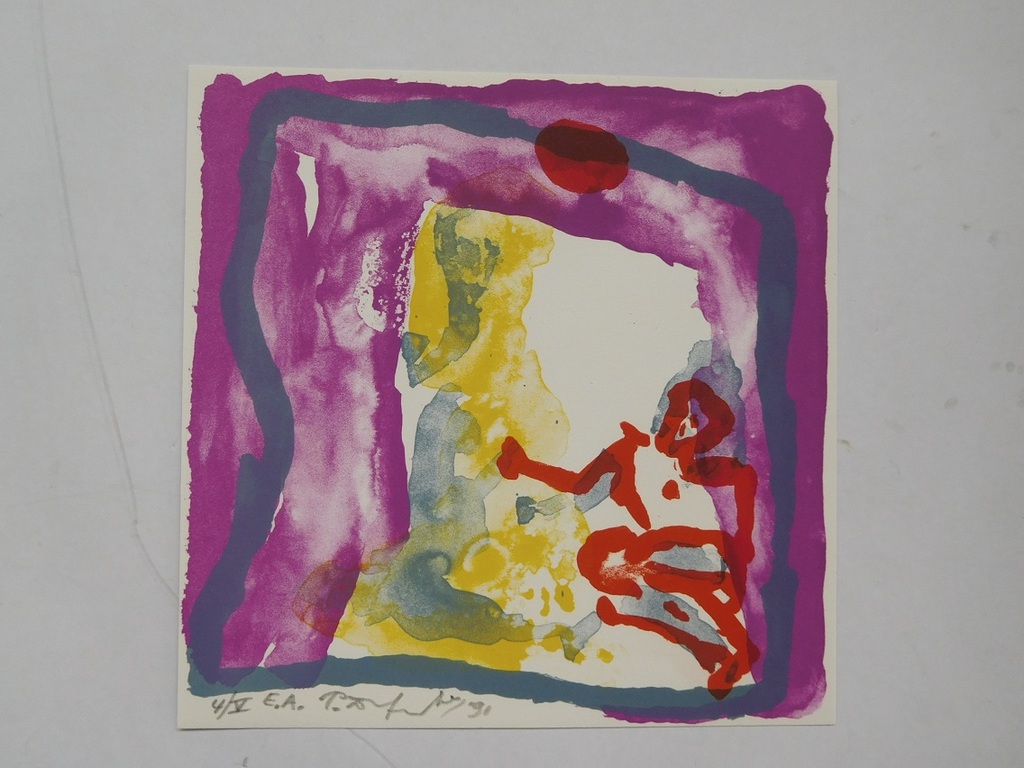 Pieter Defesche,Gesigneerde en genummerde litho met boekje in linnen cassette kopen? Bied vanaf 100!