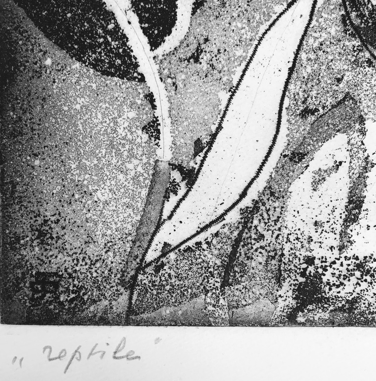 Jeanne Bieruma Oosting - Reptile - Zeldzame ets - gesigneerd - 1970 kopen? Bied vanaf 1!