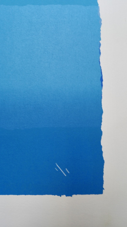 Gerard 't Hart, zeefdruk op papier, Titel :  kopen? Bied vanaf 30!
