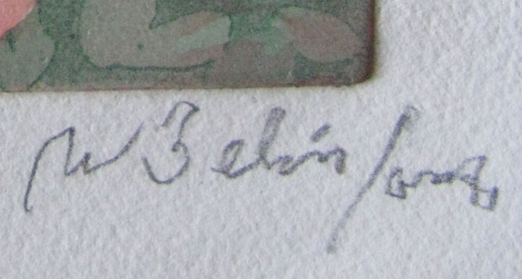 Willy Belinfante - ROZEN KNIPPEN - kleurets kopen? Bied vanaf 1!