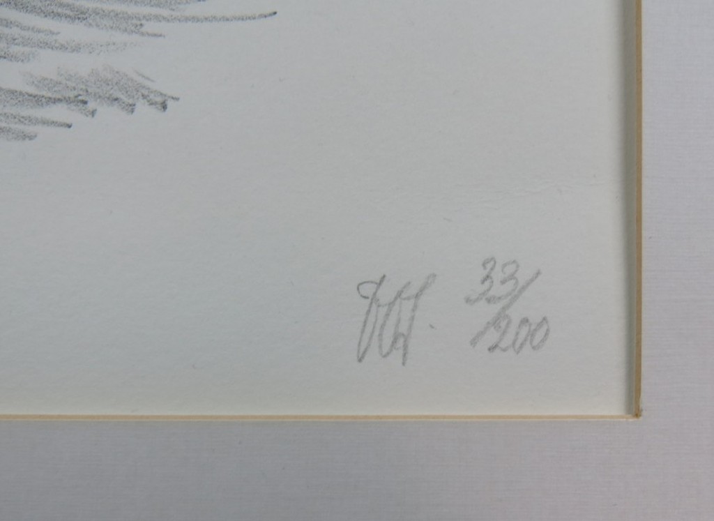 Peter Vos: Litho, Narrenschip met uil kopen? Bied vanaf 80!