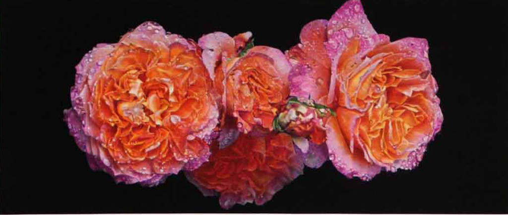 DON EDDY. -Evening calls sad Anteros- Prachtige Giclee. Handgesigneerd. 2015. kopen? Bied vanaf 97!