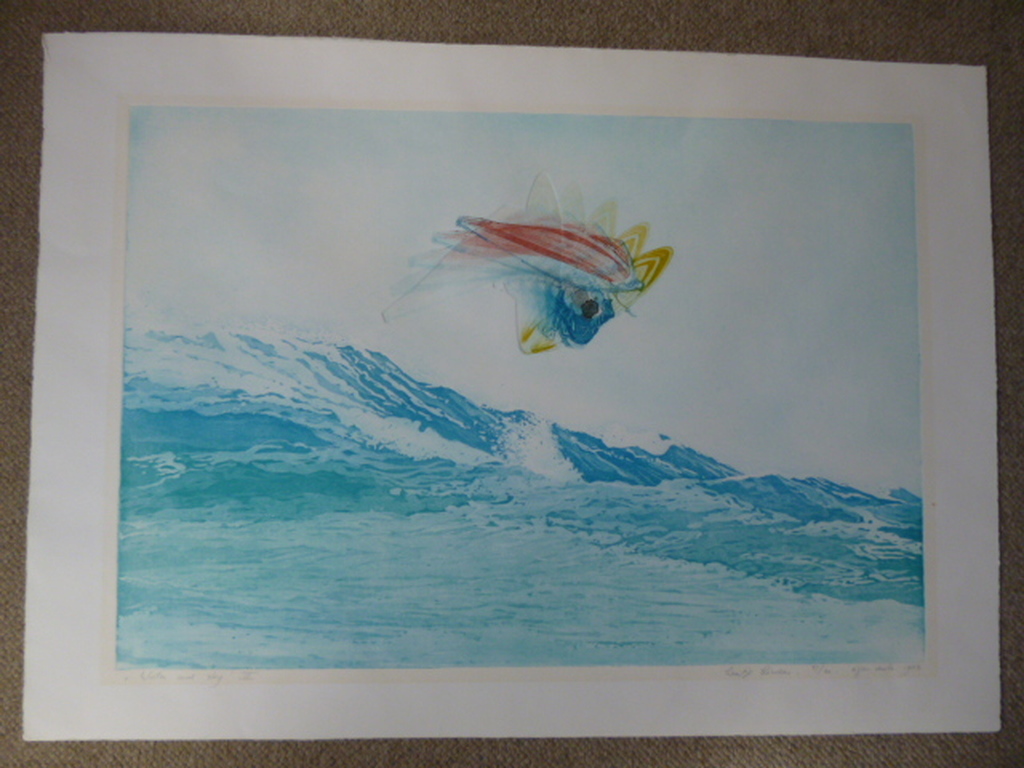 Leentje Linders - kleurenets - Water and Sky III kopen? Bied vanaf 65!