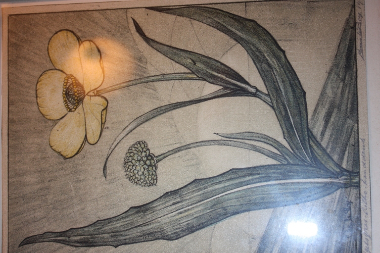 Engelgras Handdruk litho 1923 kopen? Bied vanaf 55!