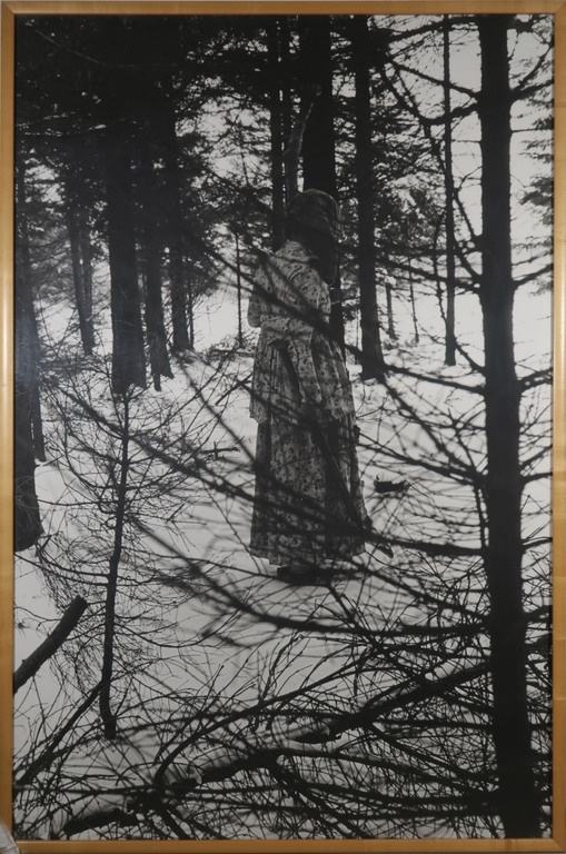 Trudi van der Elsen: Foto, Transparant - Ingelijst (Zeer Groot) kopen? Bied vanaf 250!