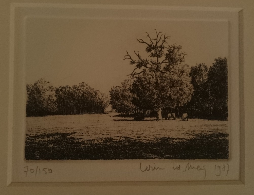 Wim van der Meij, ets, weiland met parasolboom kopen? Bied vanaf 20!