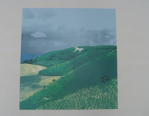 Marian Plug - Marian Plug Kleurenlitho Paard in Wiltshire kopen? Bied vanaf 1!