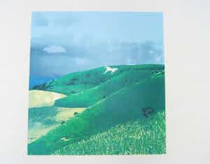 Marian Plug - Marian Plug Kleurenlitho Paard in Wiltshire verkocht voor € 1!