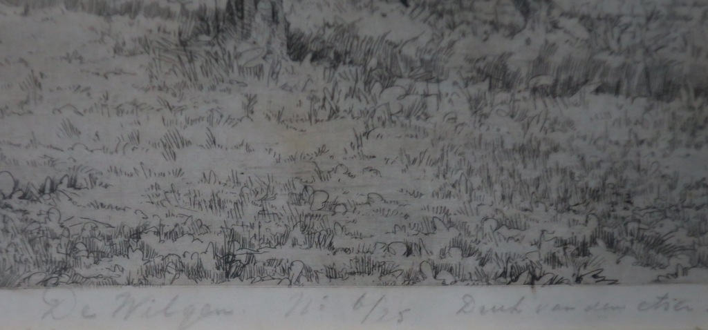 Herman Romijn: Ets, De wilgen - Ingelijst kopen? Bied vanaf 1!