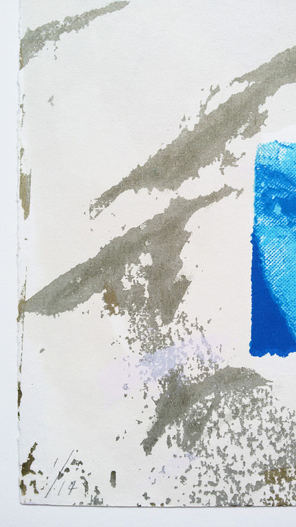 Bloem met een vleugje Vermeer, zeefdruk kopen? Bied vanaf 20!