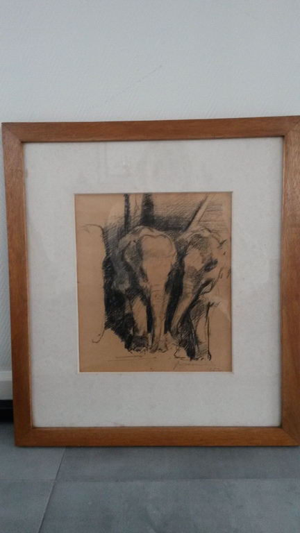 Jan Groenestein, tekening, olifanten, 1952. kopen? Bied vanaf 200!