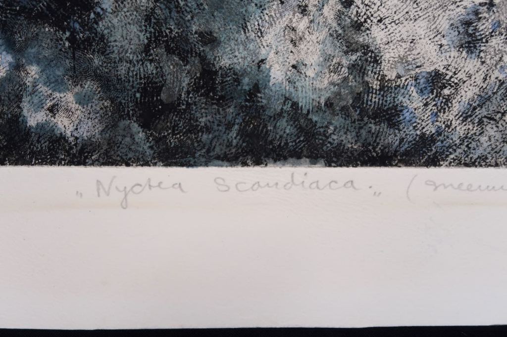 Eric Wijnands: Ets, Sneeuwuil kopen? Bied vanaf 1!