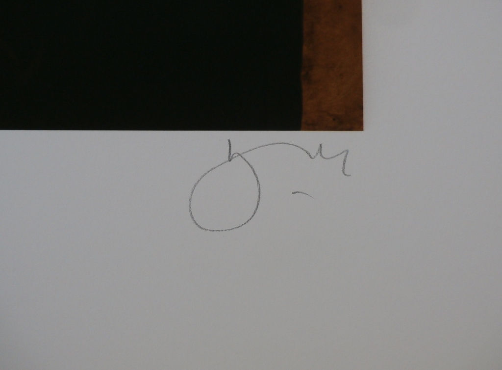 Willi Kissmer, giclee: Zwarte serie nummer 16, handgesigneerd, 2015 kopen? Bied vanaf 150!