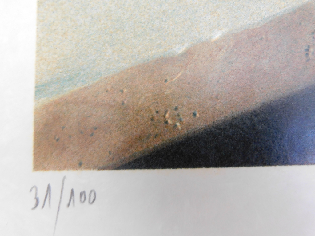 Bernard-Stephan Moldawan - Kleurenlitho - Electric Feather kopen? Bied vanaf 50!