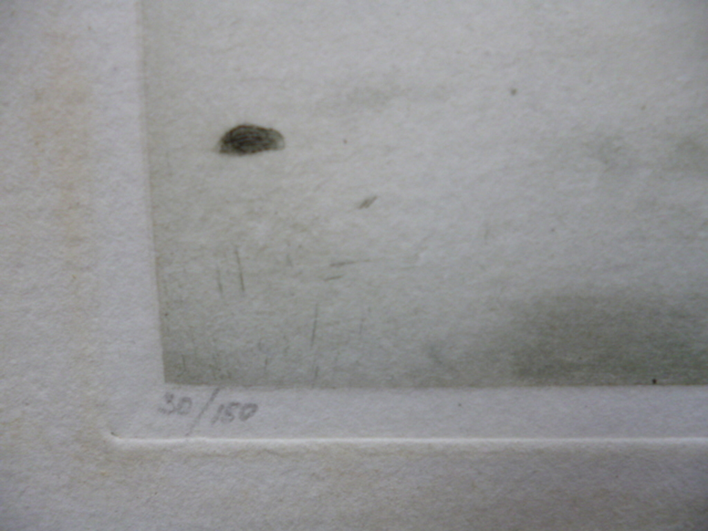 Tjeerd Bottema - kleurenets - Eksters op het ijs kopen? Bied vanaf 100!