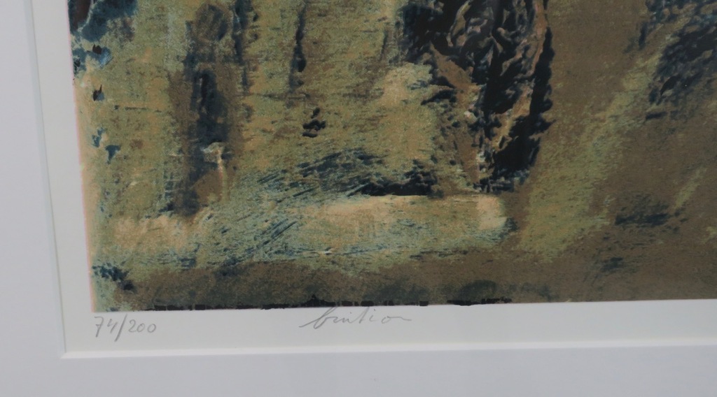 Toon Kuijpers: Zeefdruk, Fruition - Ingelijst kopen? Bied vanaf 40!