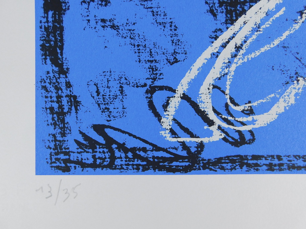 Dees de Bruyne - kleurenlitho - Femme Bleu avec collier Rouge kopen? Bied vanaf 85!