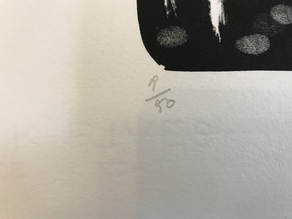 Dominique Chan Originele LITHO Gesigneerd. kopen? Bied vanaf 1!