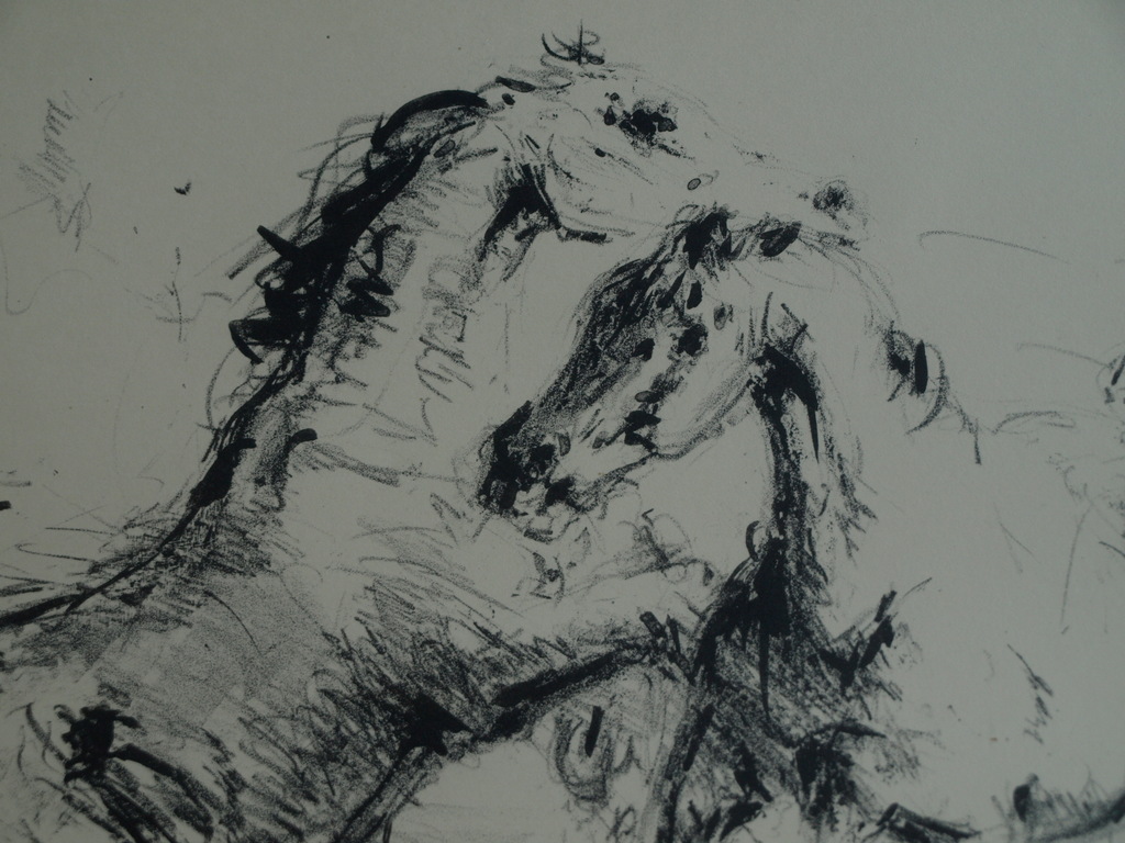 Jan Groenestein : Litho , Paarden – gesigneerd & ingelijst – ca 1962 kopen? Bied vanaf 75!